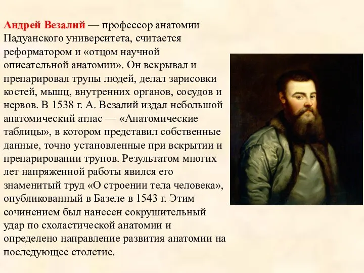 Андрей Везалий — профессор анатомии Падуанского университета, считается реформатором и «отцом