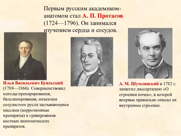 Первым русским академиком-анатомом стал А. П. Протасов (1724—1796). Он занимался изучением
