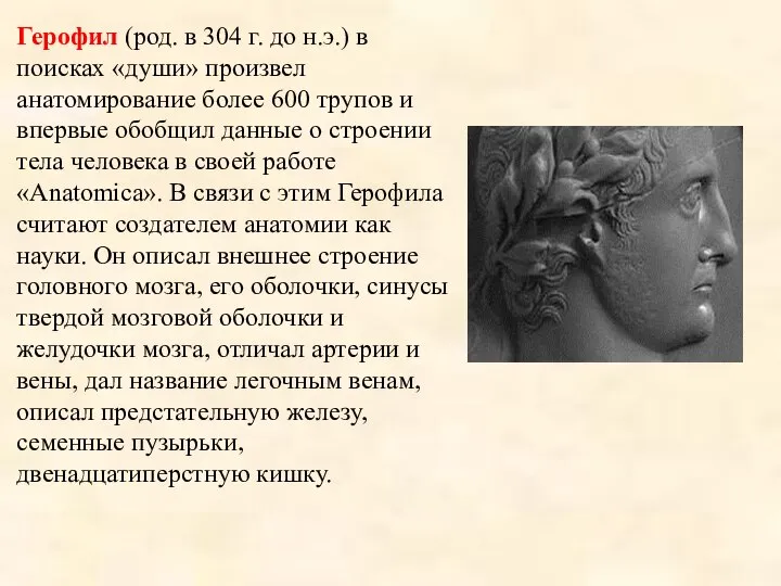 Герофил (род. в 304 г. до н.э.) в поисках «души» произвел