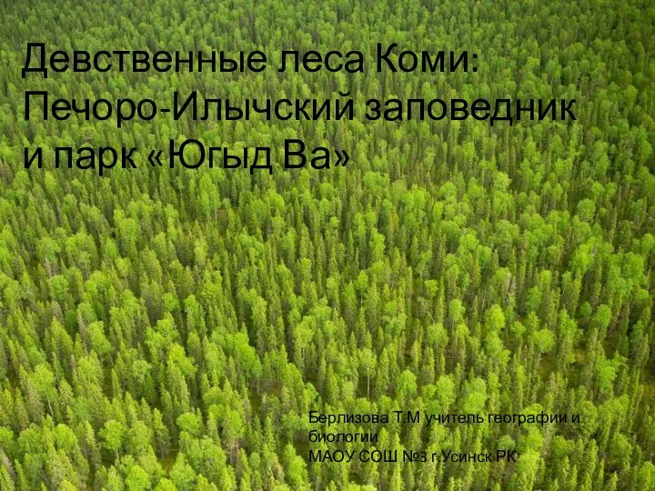 Девственные леса Коми: Печоро-Илычский заповедник и парк «Югыд Ва»